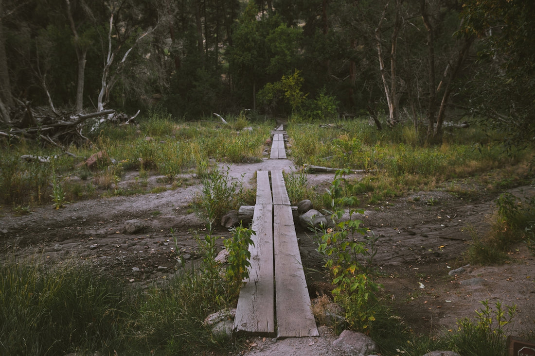 planks scattered on ground outdoors