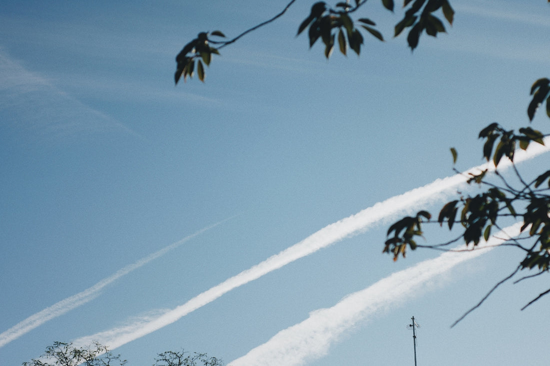 two contrails are seen in the sky above a tree