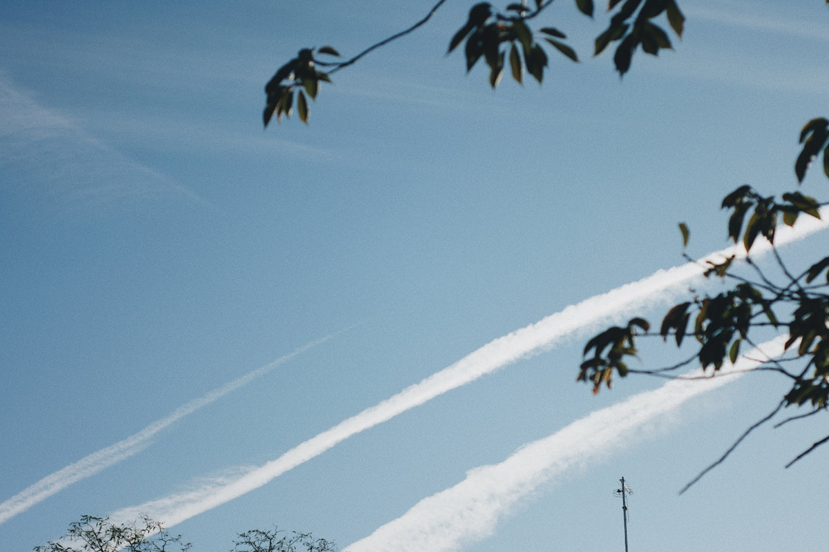 two contrails are seen in the sky above a tree