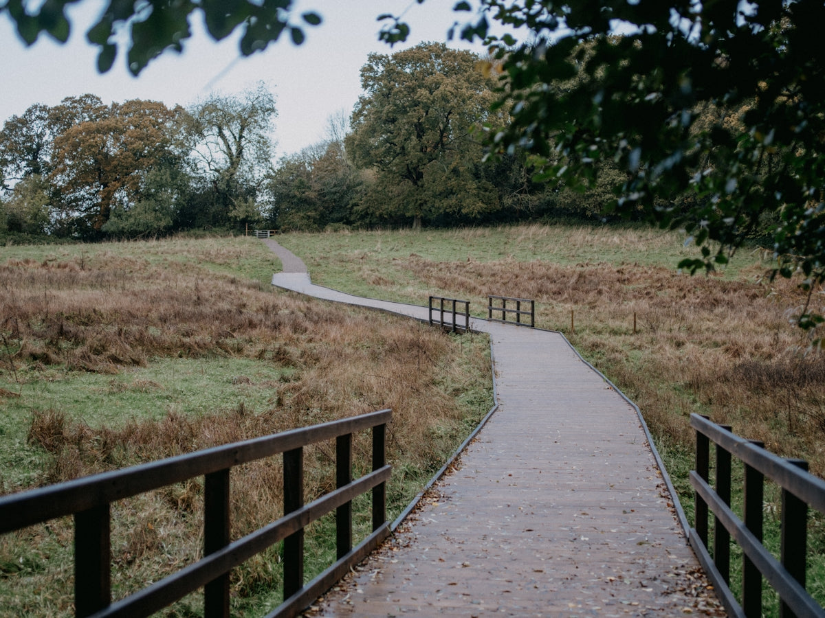 a wooden walkway leads to a grassy field