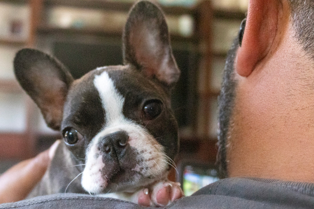 A man holding a small dog in his lap